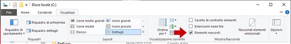 visualizzare file nascosti su WIndows 10